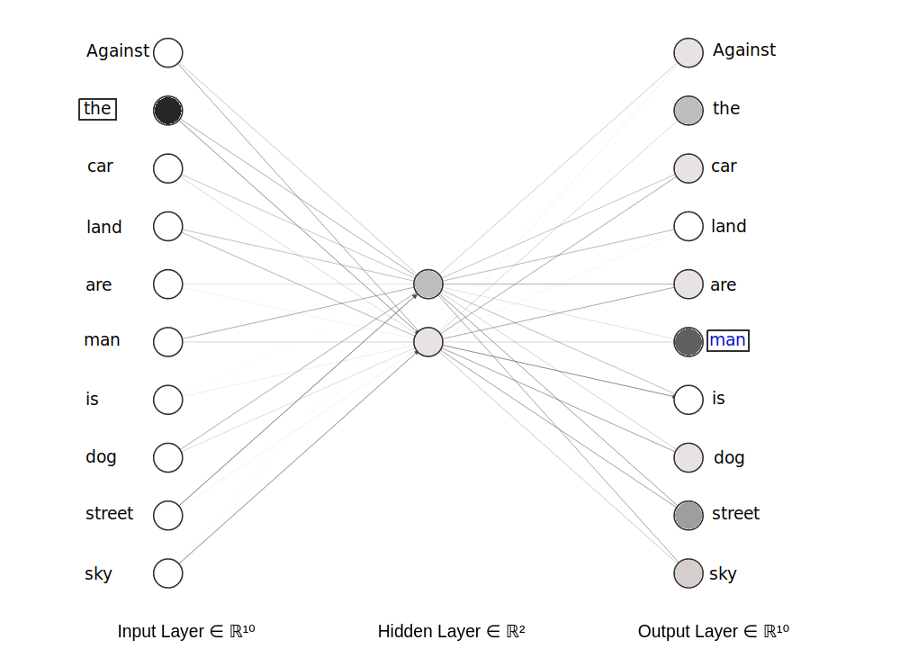 neural network